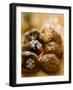 Chocolate Marzipan Biscuits with Black Cherries-Eising Studio - Food Photo and Video-Framed Photographic Print
