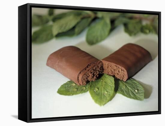 Chocolate Nutrition Bar on Mint Leaves-Chris Rogers-Framed Stretched Canvas