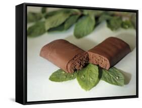 Chocolate Nutrition Bar on Mint Leaves-Chris Rogers-Framed Stretched Canvas