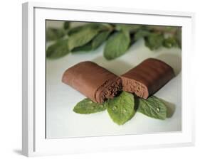 Chocolate Nutrition Bar on Mint Leaves-Chris Rogers-Framed Photographic Print