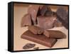 Chocolate Nutrition Bar with Dark Chocolate Filling-Chris Rogers-Framed Stretched Canvas