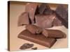 Chocolate Nutrition Bar with Dark Chocolate Filling-Chris Rogers-Stretched Canvas