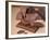 Chocolate Nutrition Bar with Dark Chocolate Filling-Chris Rogers-Framed Photographic Print