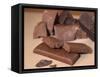 Chocolate Nutrition Bar with Dark Chocolate Filling-Chris Rogers-Framed Stretched Canvas