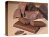 Chocolate Nutrition Bar with Dark Chocolate Filling-Chris Rogers-Stretched Canvas