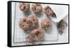 Chocolate Olive Cookies-Eising Studio - Food Photo and Video-Framed Stretched Canvas