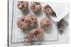 Chocolate Olive Cookies-Eising Studio - Food Photo and Video-Stretched Canvas