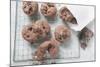 Chocolate Olive Cookies-Eising Studio - Food Photo and Video-Mounted Photographic Print