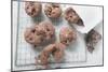 Chocolate Olive Cookies-Eising Studio - Food Photo and Video-Mounted Photographic Print