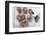 Chocolate Olive Cookies-Eising Studio - Food Photo and Video-Framed Photographic Print