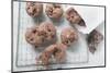 Chocolate Olive Cookies-Eising Studio - Food Photo and Video-Mounted Photographic Print