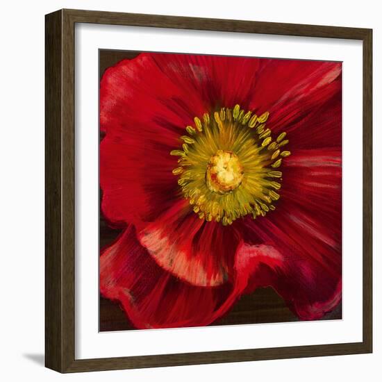 Chocolate Poppy I-Dysart-Framed Giclee Print