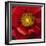 Chocolate Poppy I-Dysart-Framed Giclee Print