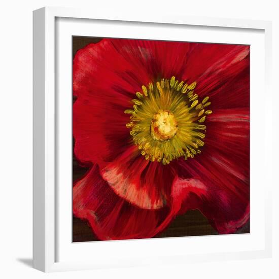 Chocolate Poppy I-Dysart-Framed Giclee Print