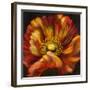 Chocolate Poppy III-Dysart-Framed Giclee Print