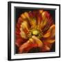 Chocolate Poppy III-Dysart-Framed Giclee Print