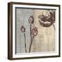 Chocolate Poppy-Tandi Venter-Framed Art Print