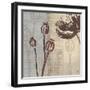 Chocolate Poppy-Tandi Venter-Framed Art Print