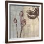 Chocolate Poppy-Tandi Venter-Framed Art Print