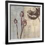 Chocolate Poppy-Tandi Venter-Framed Art Print