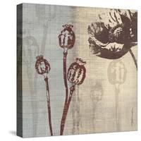 Chocolate Poppy-Tandi Venter-Stretched Canvas