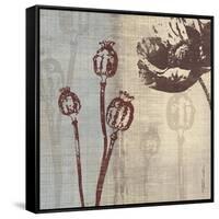 Chocolate Poppy-Tandi Venter-Framed Stretched Canvas