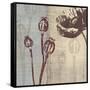 Chocolate Poppy-Tandi Venter-Framed Stretched Canvas