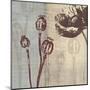 Chocolate Poppy-Tandi Venter-Mounted Art Print