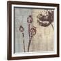 Chocolate Poppy-Tandi Venter-Framed Art Print