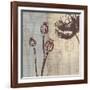 Chocolate Poppy-Tandi Venter-Framed Art Print