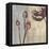 Chocolate Poppy-Tandi Venter-Framed Stretched Canvas