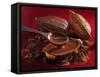 Chocolate Sauce, Cocoa Powder, Cocoa Beans and Cacao Fruits-Karl Newedel-Framed Stretched Canvas