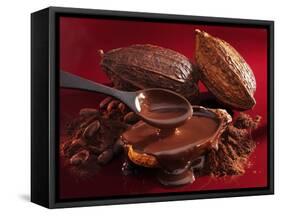 Chocolate Sauce, Cocoa Powder, Cocoa Beans and Cacao Fruits-Karl Newedel-Framed Stretched Canvas