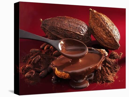 Chocolate Sauce, Cocoa Powder, Cocoa Beans and Cacao Fruits-Karl Newedel-Stretched Canvas