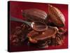 Chocolate Sauce, Cocoa Powder, Cocoa Beans and Cacao Fruits-Karl Newedel-Stretched Canvas