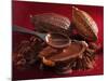 Chocolate Sauce, Cocoa Powder, Cocoa Beans and Cacao Fruits-Karl Newedel-Mounted Photographic Print