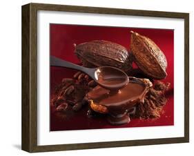 Chocolate Sauce, Cocoa Powder, Cocoa Beans and Cacao Fruits-Karl Newedel-Framed Photographic Print