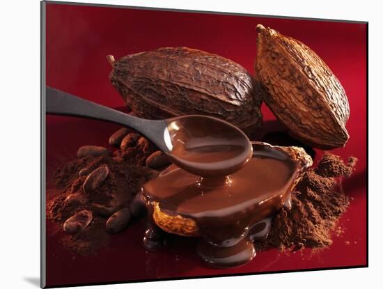 Chocolate Sauce, Cocoa Powder, Cocoa Beans and Cacao Fruits-Karl Newedel-Mounted Photographic Print