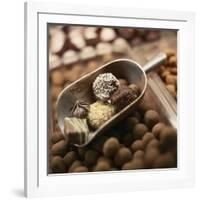 Chocolate Truffles-Joshua Dalsimer-Framed Photographic Print