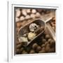 Chocolate Truffles-Joshua Dalsimer-Framed Photographic Print