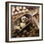 Chocolate Truffles-Joshua Dalsimer-Framed Photographic Print