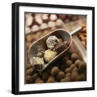 Chocolate Truffles-Joshua Dalsimer-Framed Photographic Print