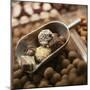 Chocolate Truffles-Joshua Dalsimer-Mounted Photographic Print