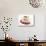 Chocolate Wafer and Cream Fancy Garnished with Raspberries-null-Stretched Canvas displayed on a wall
