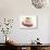 Chocolate Wafer and Cream Fancy Garnished with Raspberries-null-Photographic Print displayed on a wall