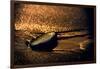 Chocolate Zen-Ursula Abresch-Framed Photographic Print