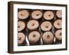 Chocolates at the Ganong Chocolate Factory, New Brunswick, Canada, North America-Michael DeFreitas-Framed Photographic Print