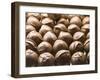 Chocolates at the Ganong Chocolate Factory, New Brunswick, Canada, North America-Michael DeFreitas-Framed Photographic Print