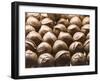 Chocolates at the Ganong Chocolate Factory, New Brunswick, Canada, North America-Michael DeFreitas-Framed Photographic Print