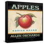 Choice Apples-Angela Staehling-Framed Stretched Canvas